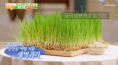  건강한 다이어트 시작! 새싹귀리분말 효능 부작용?