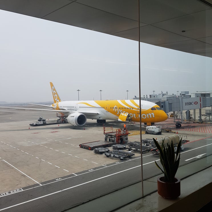  싱가포르 여자 혼자 여행 - 스쿠트 scoot 항공 추천