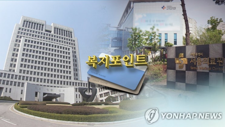 복지포인트 '통상임금' 아니라지만…"보수에 포함돼 건보료부과" 복지포인트 '통상임금' 아니라지만…"보수에 포함돼 건보료부과"