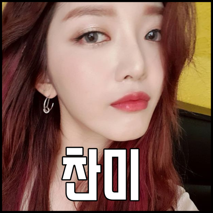  aoa 찬미 나이 키 몸매 너나해 우와