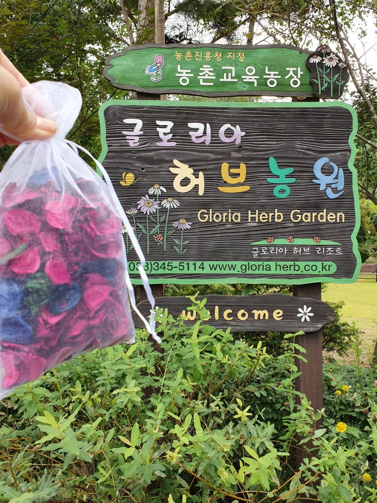  횡성 글로리아 허브리조트 강원도 횡성여행