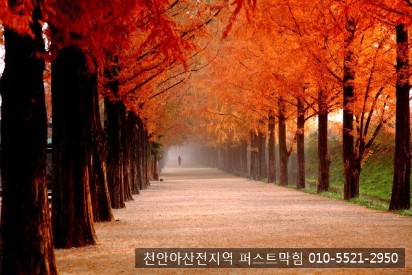  천안 아산 변기막힘 /  가을 추천 국내 여행지 BEST 6