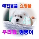  애견용품 쇼핑몰 우리집멍뭉이/회원가입후 첫구매 고객은 현금 1만원 지원해드립니다.
