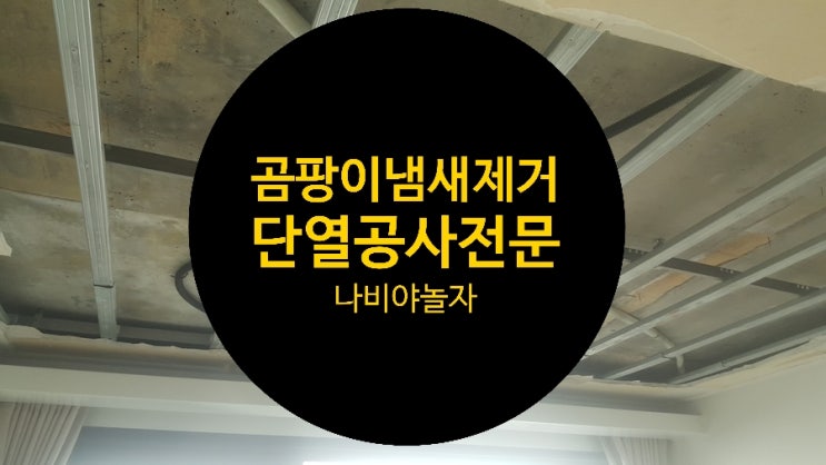  한남동 빅토리아 누수곰팡이 천정곰팡이 냄새제거 단열공사업체 / 나비야놀자