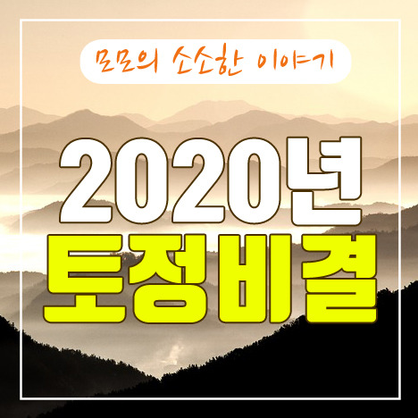 2020년 무료 토정비결로 신년운세 미리 보기