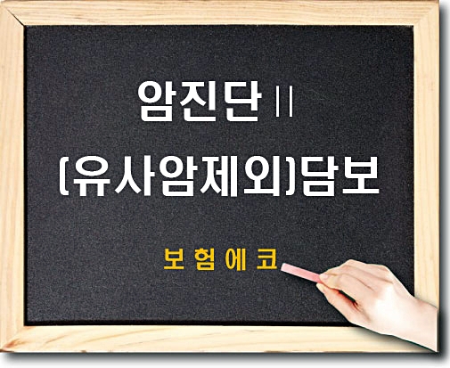  태아보험 암진단Ⅱ(유사암제외) 담보 확인하기