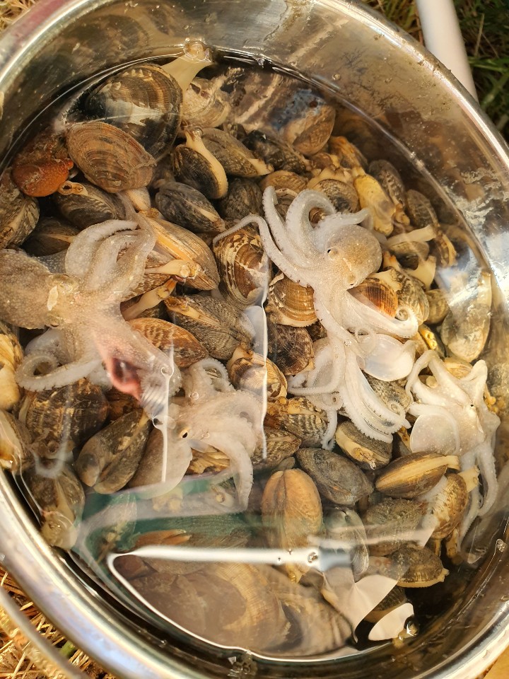 그 많은 바지락은 어디로 갔을까? 캠핑 뒷풀이 그 많은 바지락은 어디로 갔을까? 캠핑 뒷풀이