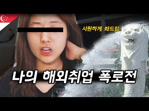  나의 싱가포르 해위취업 폭로전 [해외취업 후기]