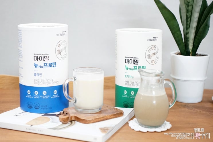  균형단백질 대상웰라이프 마이밀뉴프로틴 운동후 마셔요