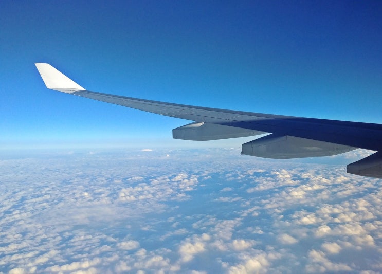  대한항공 A330-300 기내식 발리 태교여행 이코노미  탑승 후기