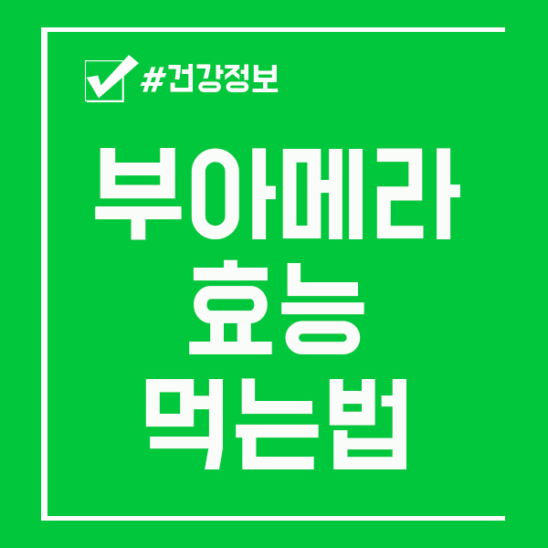  부아메라 효능 / 먹는법 공유해봐요