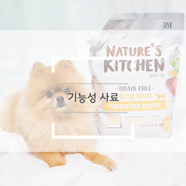 기능성 강아지 사료추천 꼬몽이는 ANF 사료 장건강 레시피 급여해주고 있어요. 기능성 강아지 사료추천 꼬몽이는 ANF 사료 장건강 레시피 급여해주고 있어요.