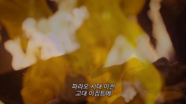  스콜피온 킹 5 망자의 서( The Scorpion King  Book of Souls )