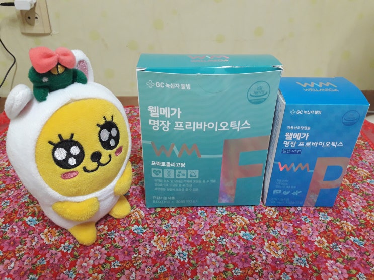  온가족 유산균 유산균 증가 장 건강을 위한 프로바이오틱스&프리바이오틱스