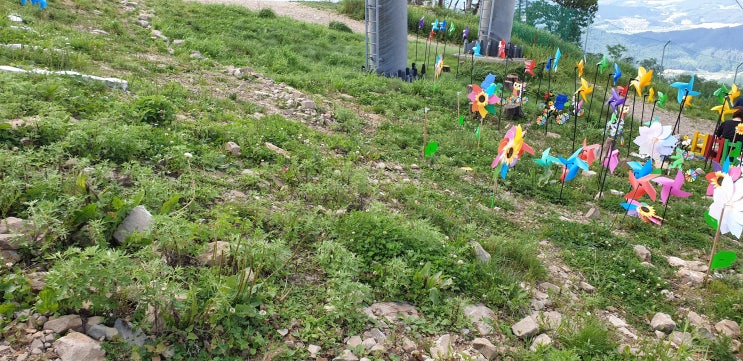  좋은 글과 함께하는 시간 대치동점집 산신도령
