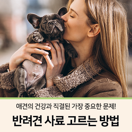  강아지 사료 고르는 방법 _ 아라포펫 댕댕이생활