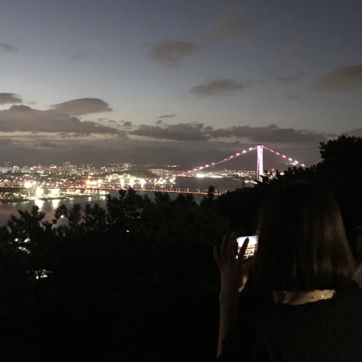  울산 핫플 모음 / 스컹크웍스, 스매쉬, 시그너스커피바, 카페귤, 센티르, 포인, 싱물원, PPL