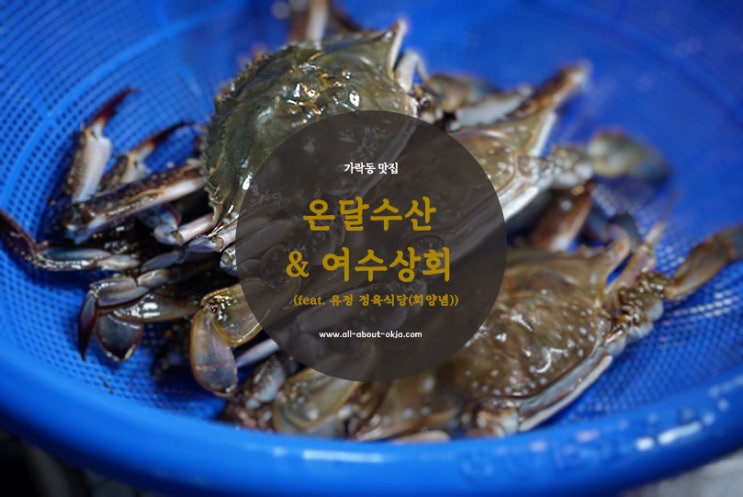  [송파] 가락동 수산시장 맛집 : 온달수산&여수상회(feat. 유정 정육식당(회양념))