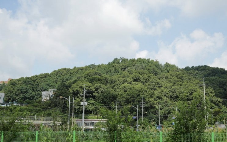  [환경연합] 일봉산지키기 시민운동 일정 안내