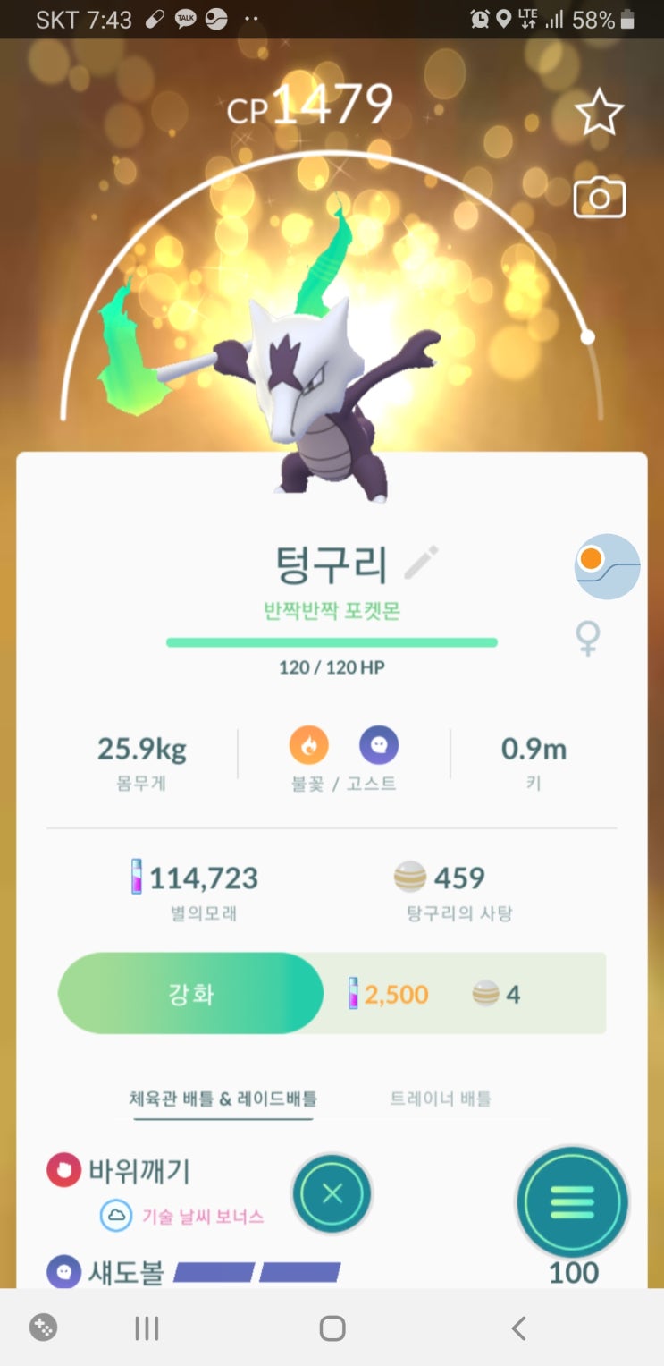  포켓몬고 알로라 텅구리 반짝반짝포켓몬 겟!