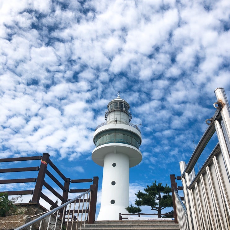  강원도 동해 1박 2일 : 묵호에 가면