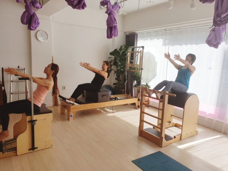 [벨라요가앤필라테스](경성대대기구필라테스 부경대대기구필라테스) 대기구필라테스3대1대기구필라테스 그룹레슨수업