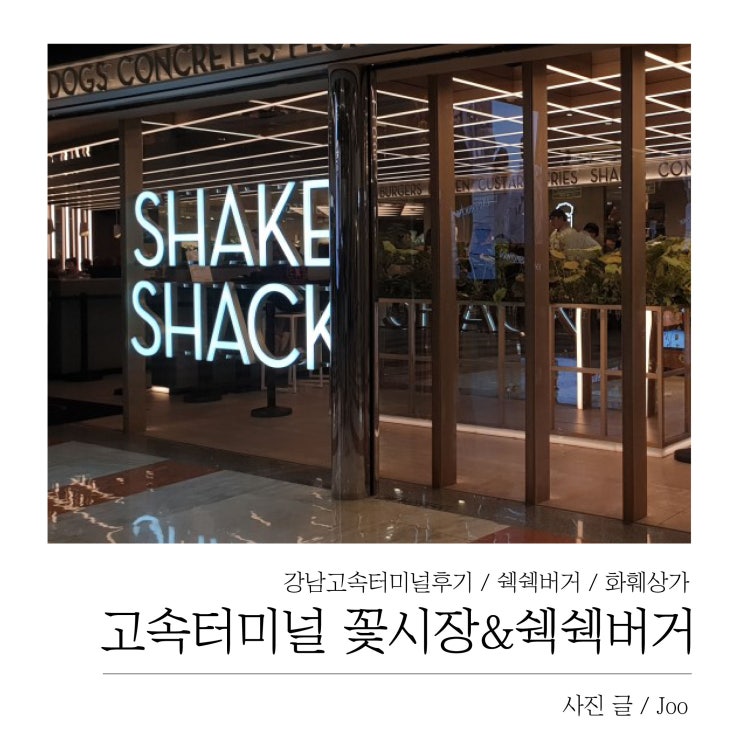  서울 강남 고속터미널 탐방기 _ 고속터미널 화훼상가 운영시간 및 위치 / 쉐이크쉑버거 기본메뉴 추천 후기