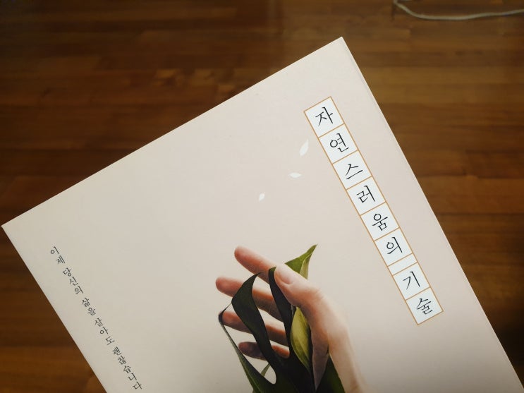  자연스러움의 기술