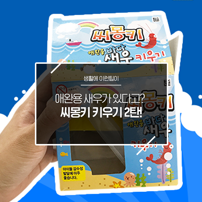  애완용 새우가 있다고? 씨몽키 키우기 2탄
