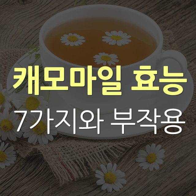  캐모마일 효능 7가지와 먹는법 부작용 확인합시다