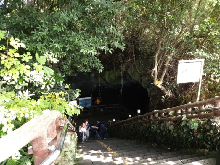  제주도 딱한번! 가볼만한곳 세계자연유산 만장굴.가격.