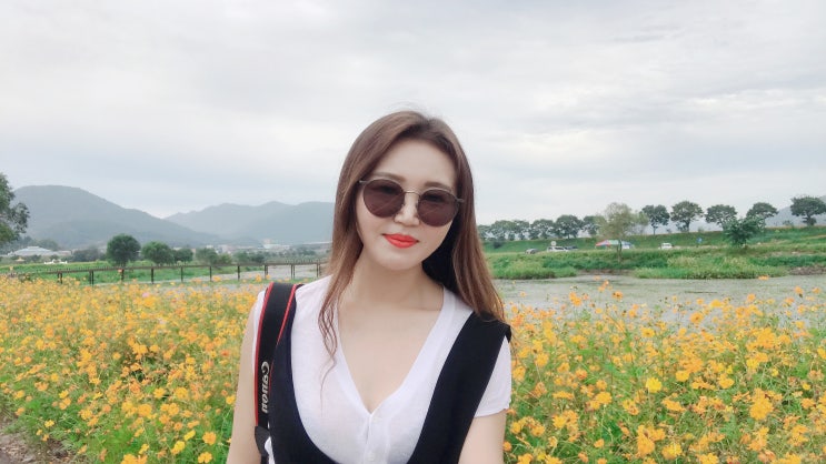  장성축제 황룡강노란꽃잔치 10월 가을여행추천