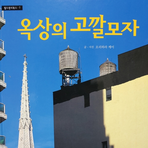  [뉴욕]옥상의 고깔모자 -뉴욕을 나타내다.