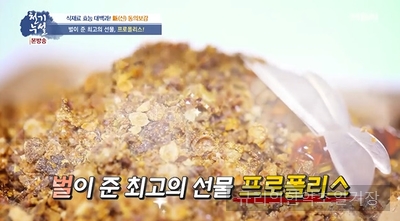  암 후유증 이기는 항산화 식품!! 프로폴리스 효능 부작용? 프로폴리스 원액, 리퀴드 사용법?