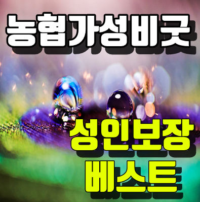  농협 가성비굿건강보험 성인보장 베스트!