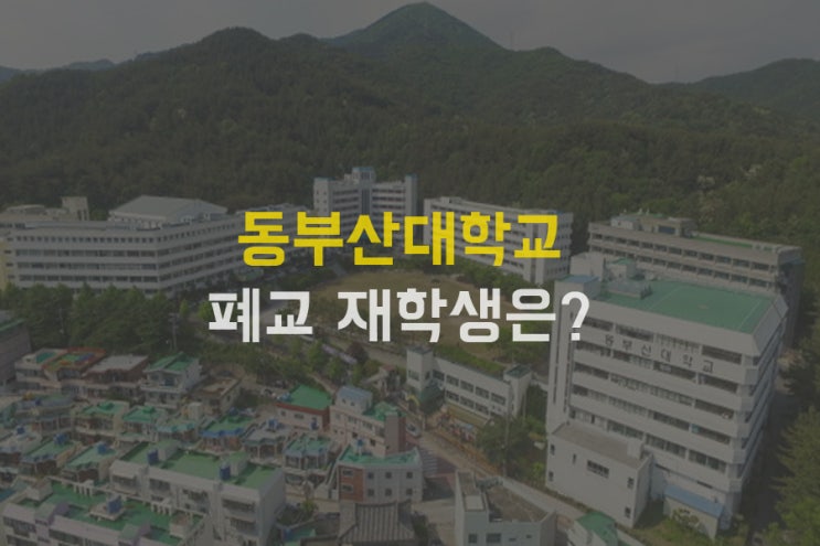동부산대학교 자진 폐교 이유 80억?