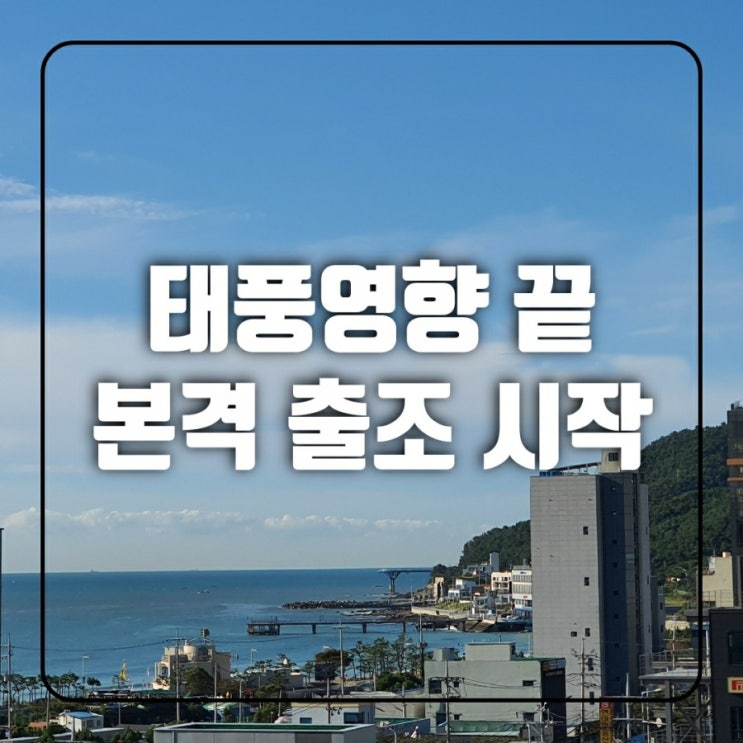 부산선상낚시 초보 생활낚시 - 손맛 입맛 오감 만족~!