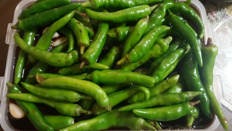  고추 간장장아찌