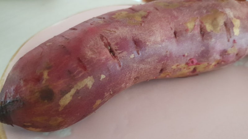 고구마 싹 난거 먹어도 되나요 ? 싹 독 보관법 (싹난 감자) : 네이버 블로그 고구마 싹 난거 먹어도 되나요 ? 싹 독 보관법 (싹난 감자) : 네이버 블로그