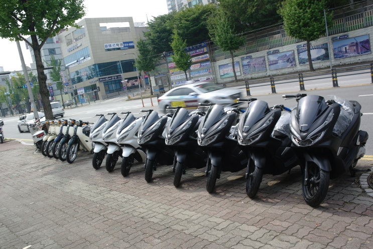  혼다오토바이 PCX125 슈퍼커브110 대량입고
