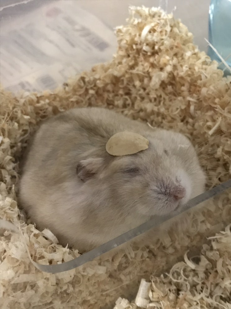  어느덧 9월의 끝자락