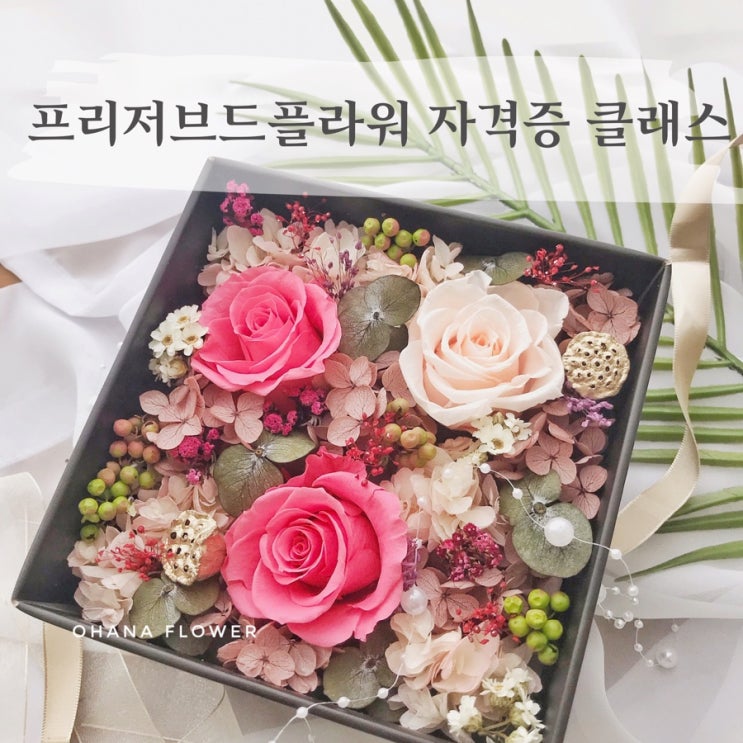  [부산프리저브드플라워]  프리저브드플라워 자격증클래스(기초)  :  부산 수영 광안 프리저브드플라워 스튜디오 ohanaflower