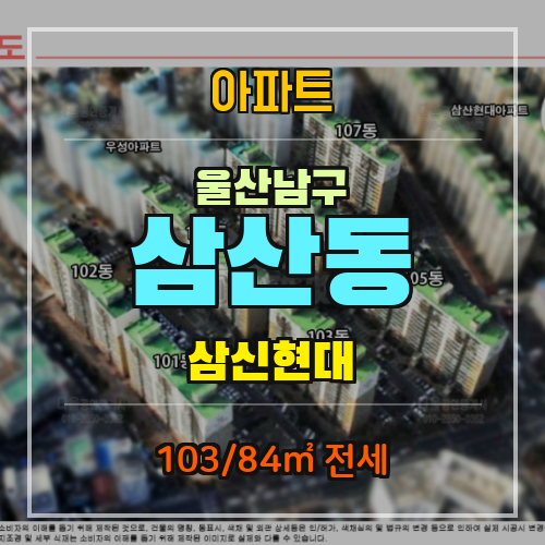  [울산 남구 삼산동] 삼신현대 전세 1억 7,000만원 (103/84)