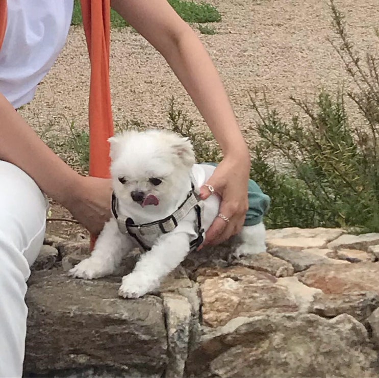  하루도 안 쉰 이번 추석cc️