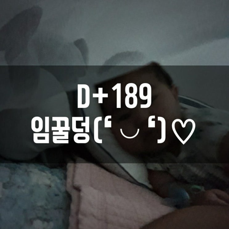  D+189, 영유아안전사고 예방교실 수업 들었어요!