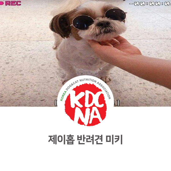  [연예인 강아지편] 방탄소년단 제이홉 반려견 미키 이야기_01