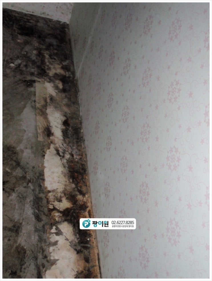  바닥 곰팡이제거 후 재발 방지~