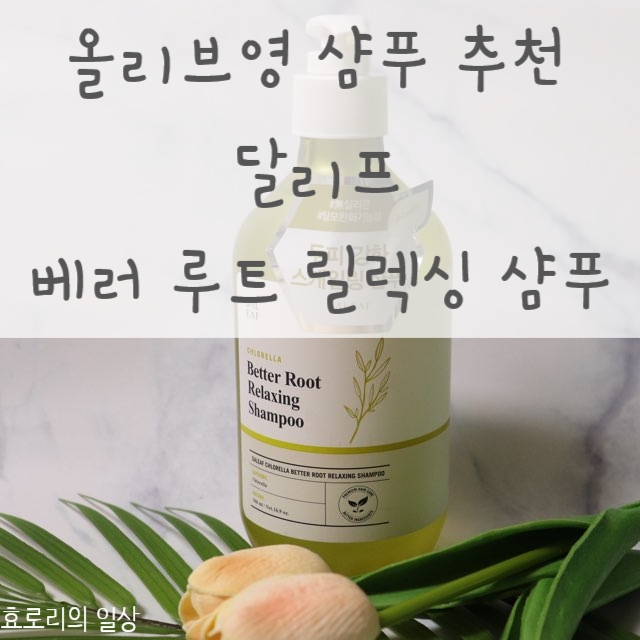  올리브영샴푸추천 달리프샴푸로 탈모와 두피건강을 한번에~