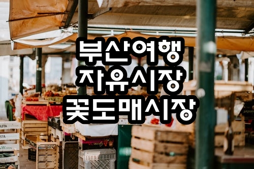  부산여행추천 :: 자유도매시장에서 자유를 찾자