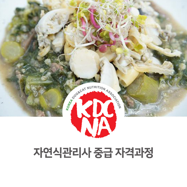  [펫영양 전문가 양성 ] 반려동물자연식관리사 중급 자격교육 과정 마지막 수업 후기_60